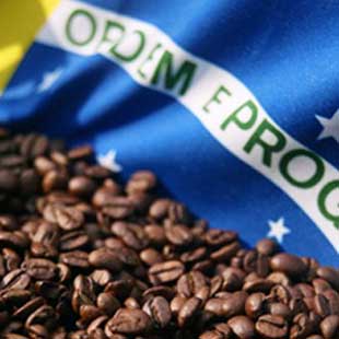 Brasilianischer Kaffee
